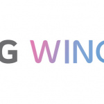 LG Wing header