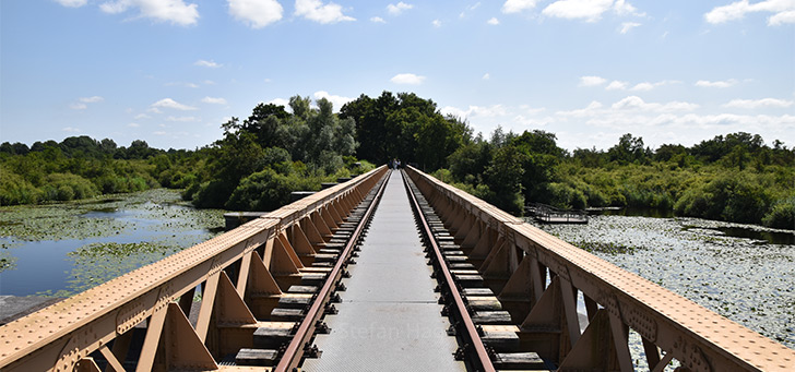 natuur nederland header