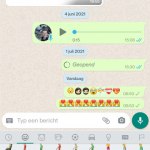 WhatsApp emoji zomer 2021