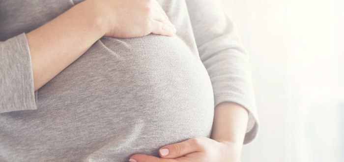 Zwangerhap app: handig hulpmiddel voor voeding tijdens de zwangerschap