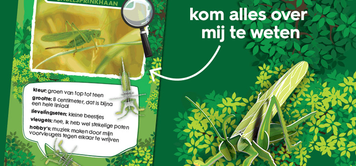 Hema insecten header