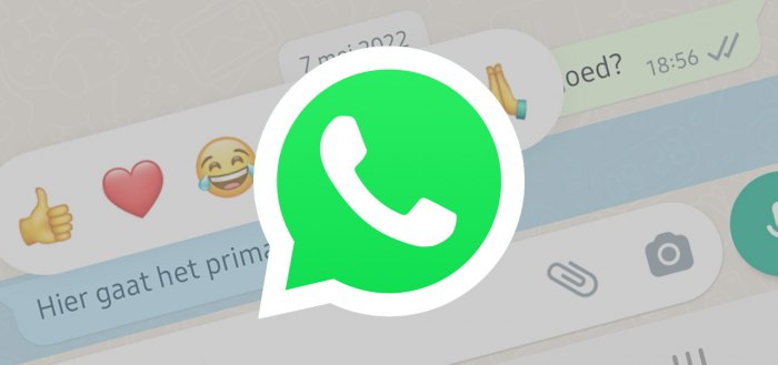 WhatsApp rolt ‘alle emoticons’ uit voor reacties: dit kun je ermee