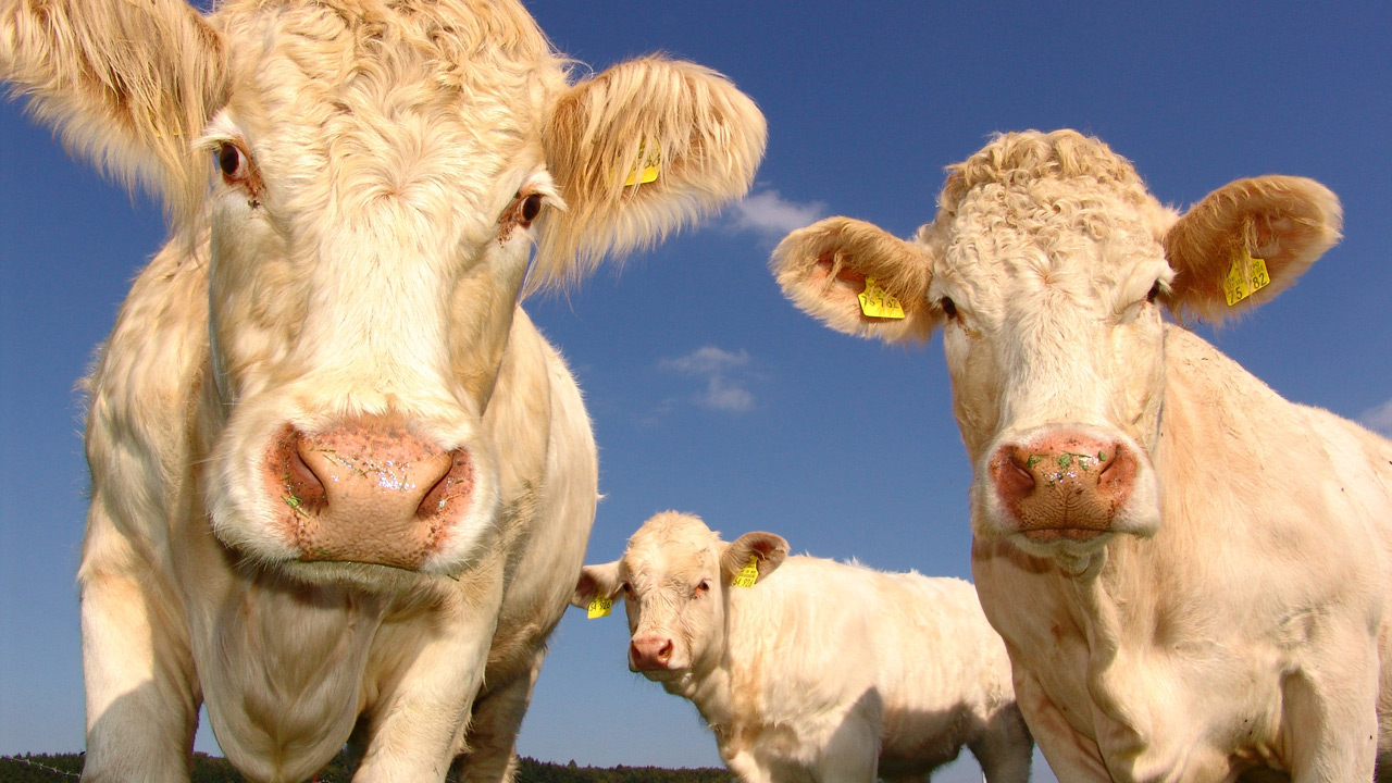 Boerderijproducten bij jou in de buurt