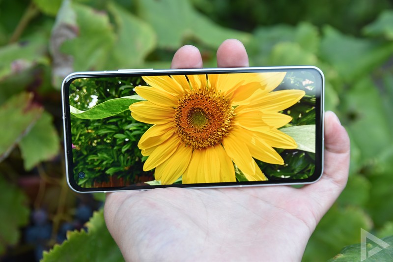 Asus Zenfone 9 display