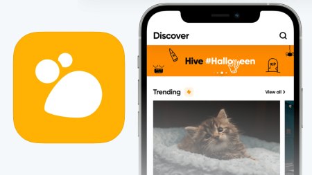 Hive is nieuw populair alternatief voor Twitter en Mastodon