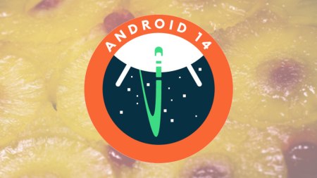 Android 14 upside down cake header