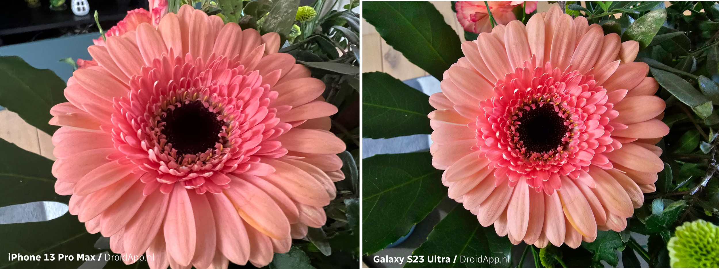 Samsung Galaxy S23 Ultra vs iPhone 13 Pro Max