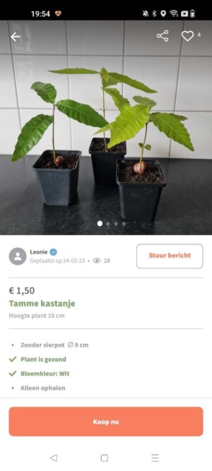 Plantigo app kamerplanten kopen