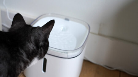 Xiaomi Mi Smart Pet Fontain review: slimme drinkbak voor kat of hond