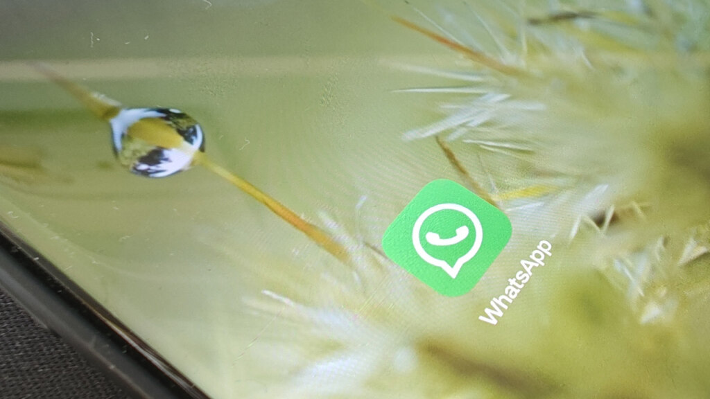 WhatsApp header