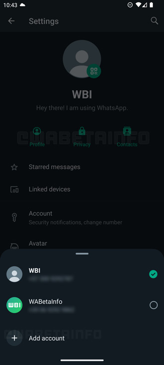 WhatsApp multi-account