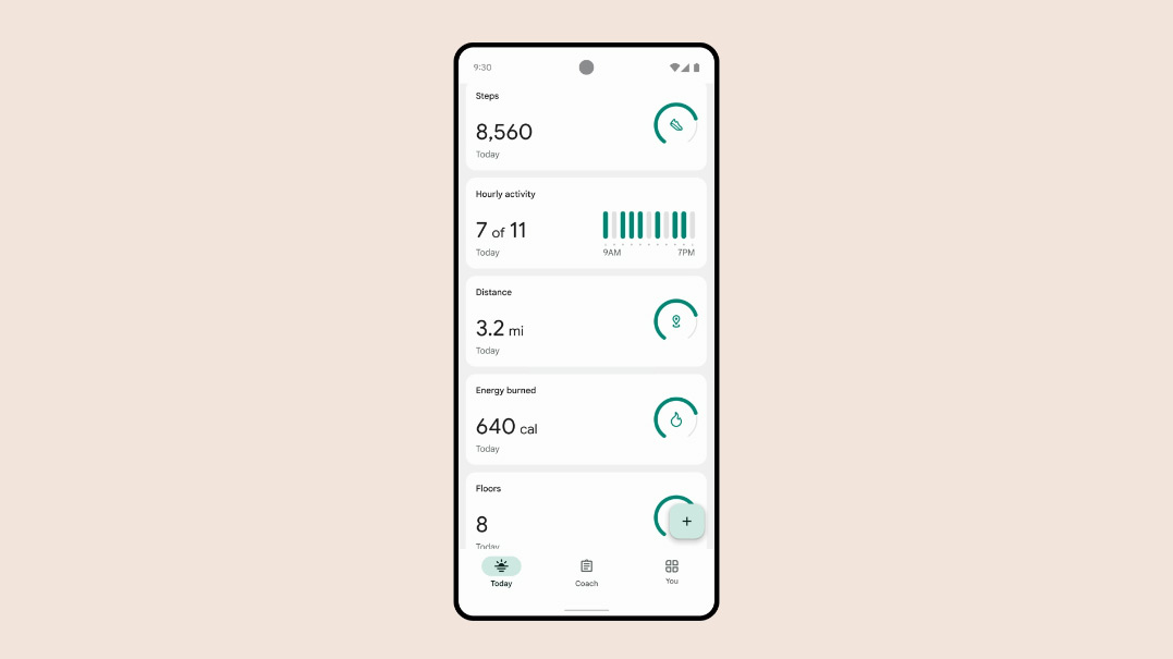 Fitbit app - Vandaag