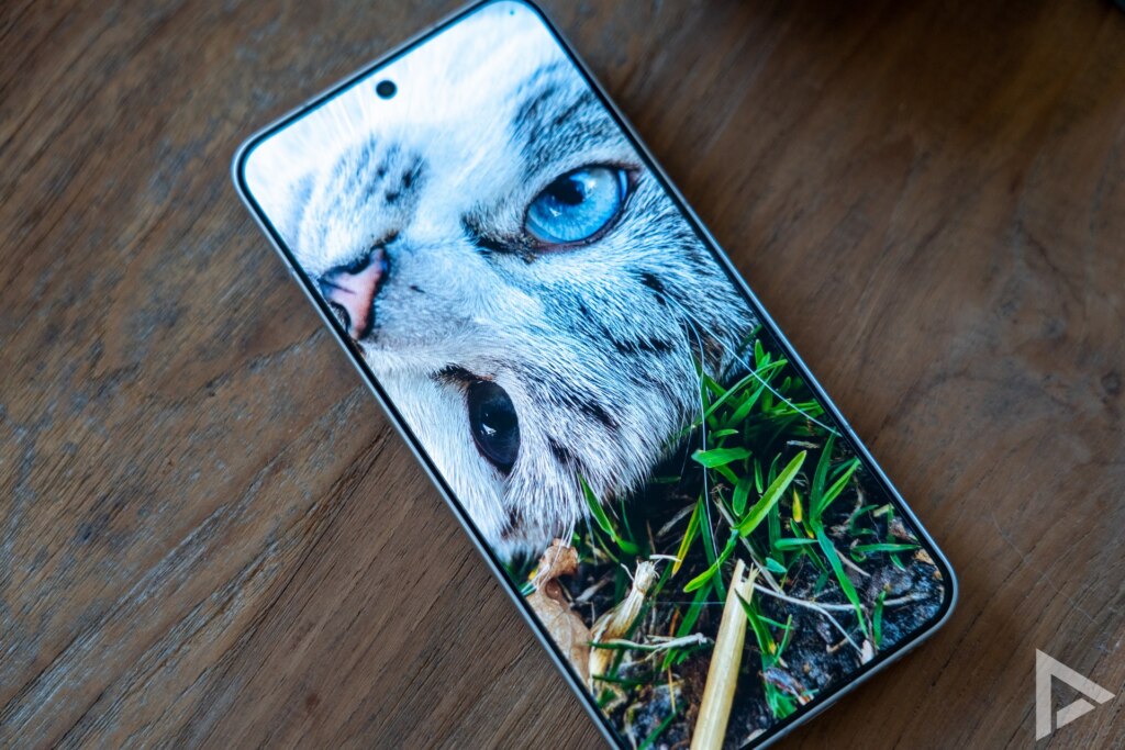 Xiaomi 15 beeldscherm