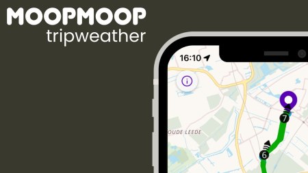 moopmoop header