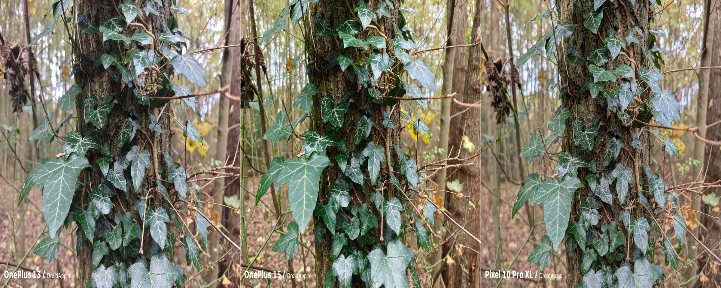 OnePlus 13 - OnePlus 15 - Pixel 10 Pro XL vergelijking