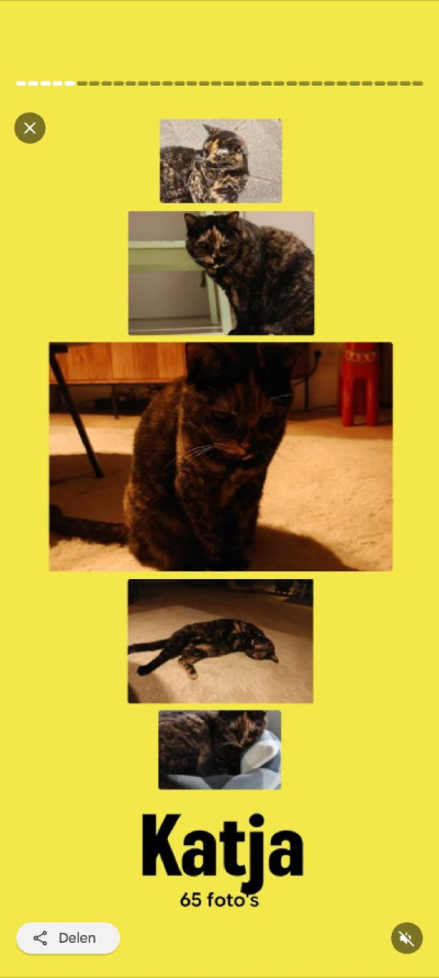 Google Foto's jaaroverzicht