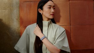 Fitbit Air header