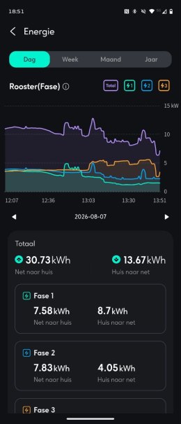 Hoogverbruik in Zendure app