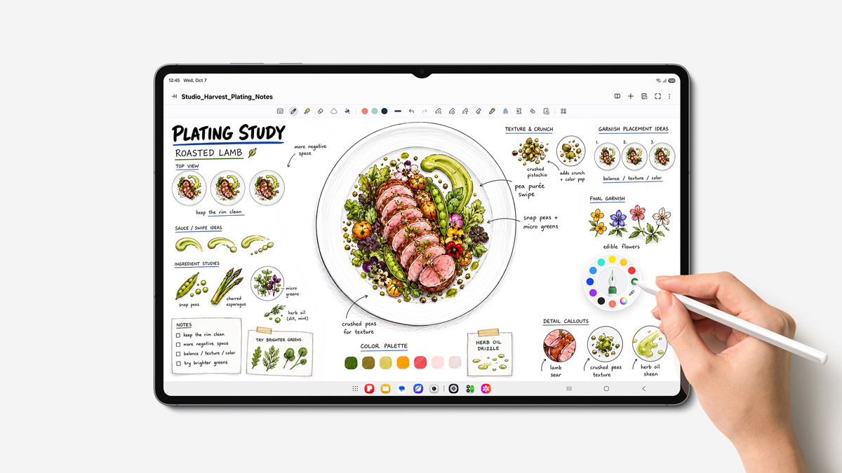 Samsung Galaxy Tab S12